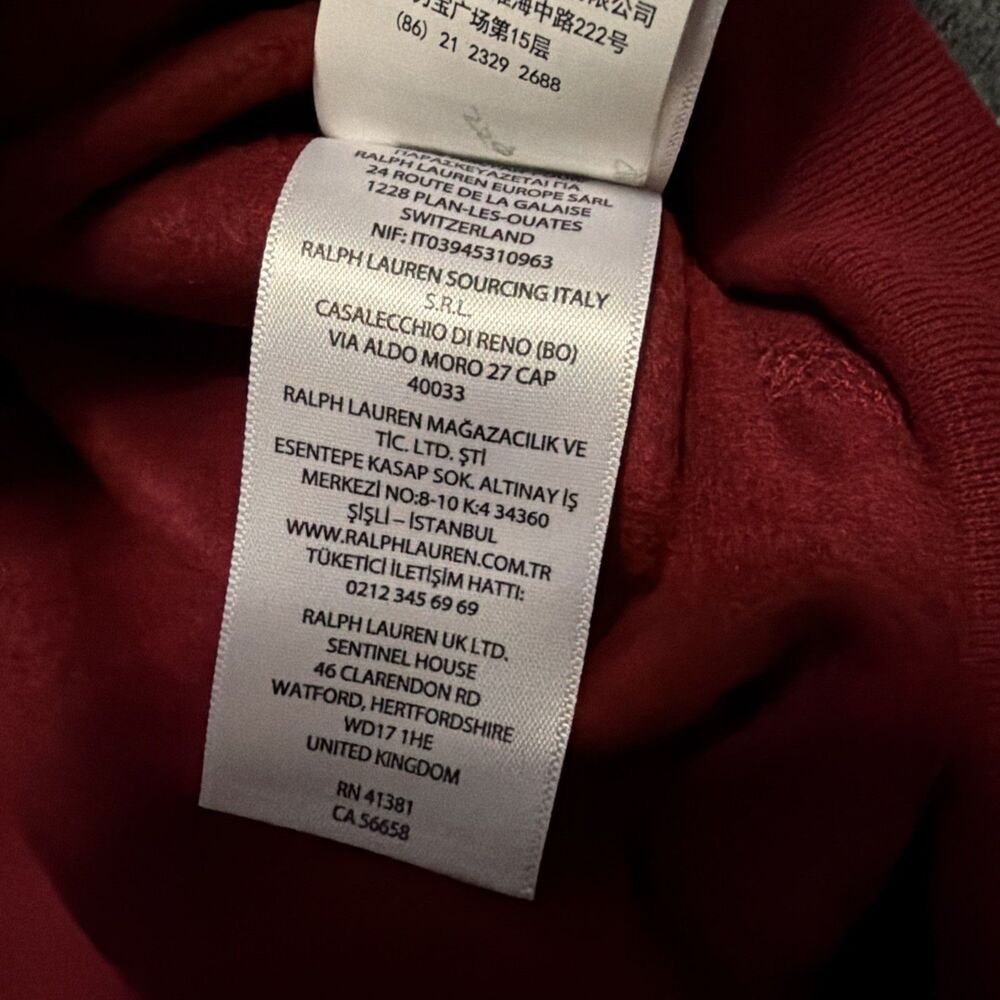 4XLT Polo Ralph Lauren Plaid Logo Graphic Hoodie (a Little Darker In Person) - Picture 9 of 10